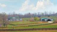 Kentucky-Horse-Farm