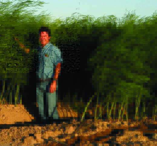 Giumarra Asparagus Grower Becomes Fair Trade Certified Giumarra Asparagus Grower Becomes Fair Trade Certified