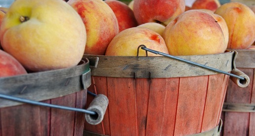 Georgia Peach Council Sweetens Peoples’ Days Georgia Peach Council Sweetens Peoples’ Days