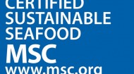 MSC logo