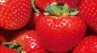 BPIA strawberries image