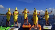 Del Monte bananas