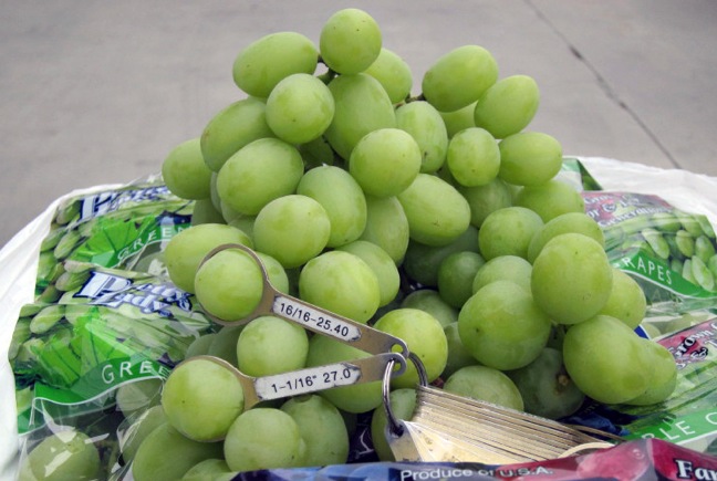 Dulcich grapes