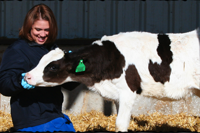 Aurora Organic Dairy Donated 28K Gallons To Hunger Relief In 2012 Aurora Organic Dairy Donated 28K Gallons To Hunger Relief In 2012