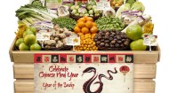 Frieda's Chinese Year of the Snake