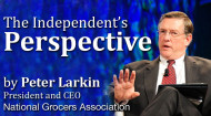 The Independent's Perspective