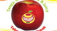 Junami logo