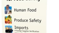 FDA food safety