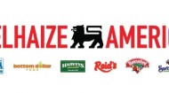 DelhaizeAmericalogo