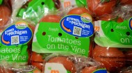 MEIJER MASTRONARDI PRODUCE