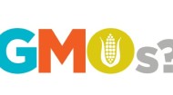 GMOs