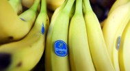 Chiquita bananas