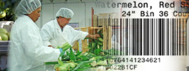 Produce Traceability Initiative To Offer Comments On FDA Report Produce Traceability Initiative To Offer Comments On FDA Report