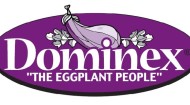 Dominex logo