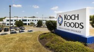 Koch Foods