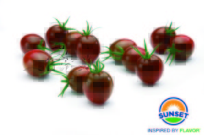 Mastronardi’s Sunset Varieties Win At Hottest Tomato Competition Mastronardi’s Sunset Varieties Win At Hottest Tomato Competition