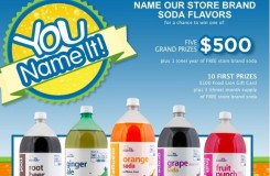 Food Lion’s ‘You Name It’ Contest Lets Customers Name Private Brand Sodas Food Lion’s ‘You Name It’ Contest Lets Customers Name Private Brand Sodas