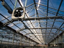 Commercial Greenhouse Now Operating On Roof Of Brooklyn Whole Foods Commercial Greenhouse Now Operating On Roof Of Brooklyn Whole Foods