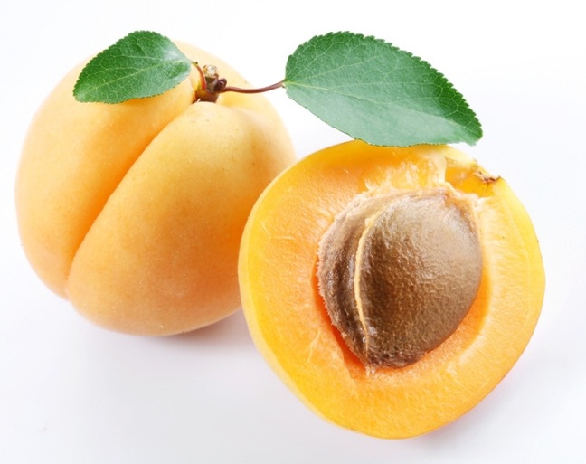 Shipping of Washington State Apricots Beginning Soon