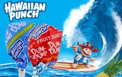 New Limited-Edition Hawaiian Punch Dum Dums Available Now New Limited-Edition Hawaiian Punch Dum Dums Available Now