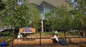 Denver Approves New Urban Farming Law Allowing Some Sales From Homes Denver Approves New Urban Farming Law Allowing Some Sales From Homes