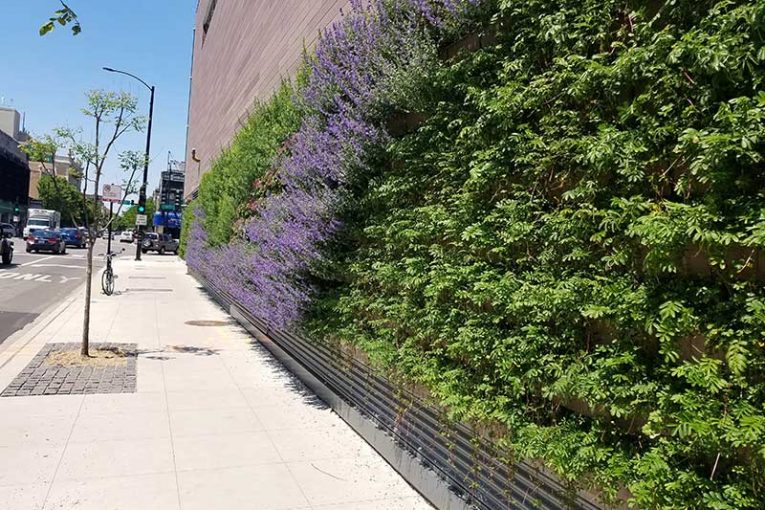 WFM Chicago Living Wall