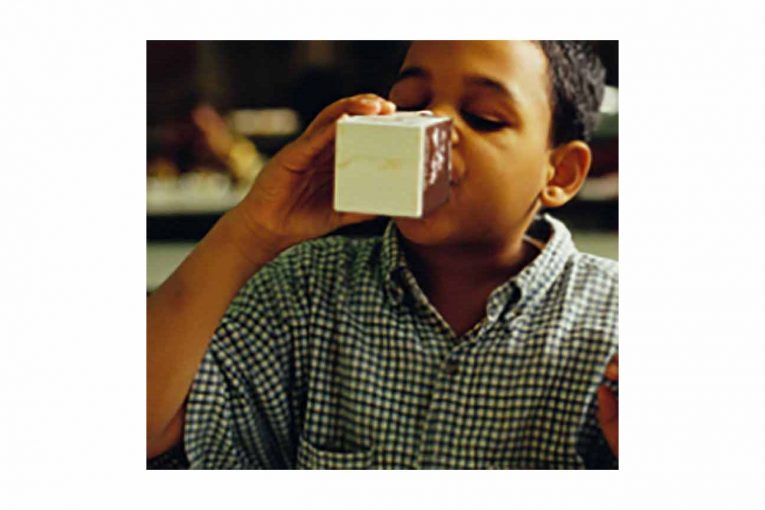 USDA school dairy options