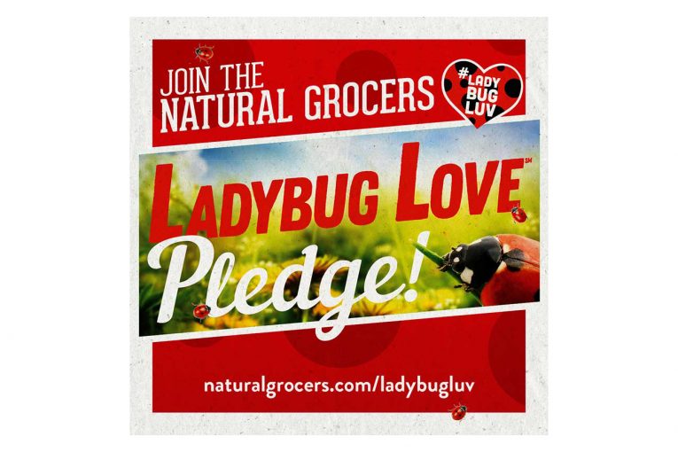 natural grocers asks customers to protect the ladybug for natural grocers asks customers to protect the ladybug for
