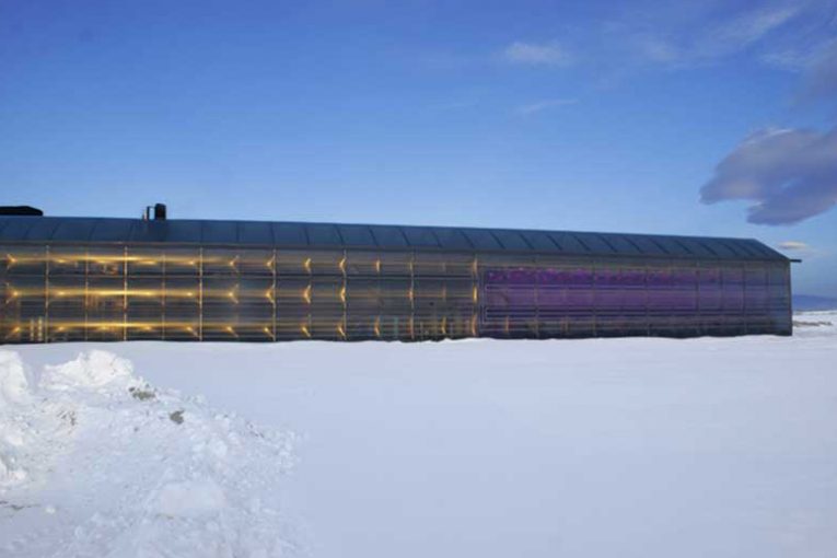 Mans Organics' greenhouse