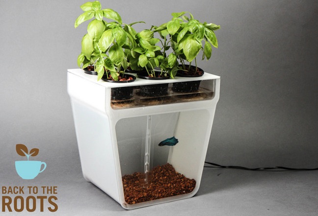 Back to the Roots Launches Fish Tank That Grows Food