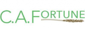 CA Fortune logo