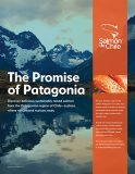Salmon Chile Patagonia