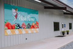 Wish Farms